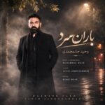 دانلود آهنگ وحید جان محمدی باران سرد